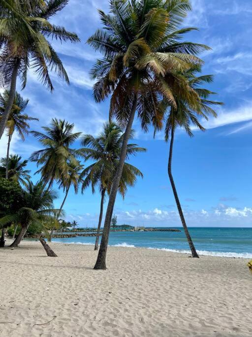 Le Calypso, Beachside Heaven Le Gosier  Exterior photo